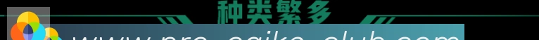 彩客网官网荣誉
